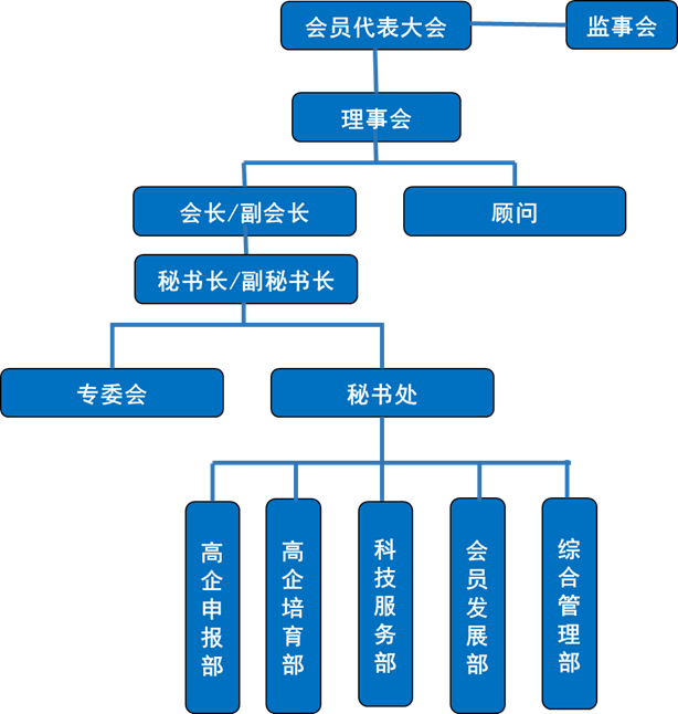 完美(中国)组织架构图.png